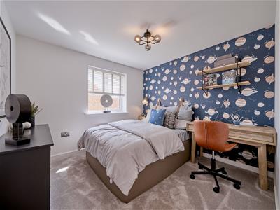 Picture 8